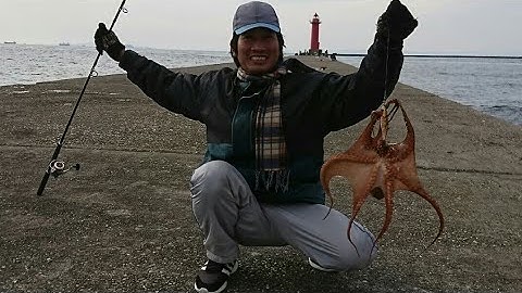 câu bạch tuộc don gian o bo biển