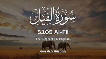 S.105 Al-Fil | Arbi Ash-Shishani سورة الفيل عربي الشيشاني