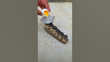 Very Easy Made Egg Omellete. Episode 573 #shorts #ytshorts