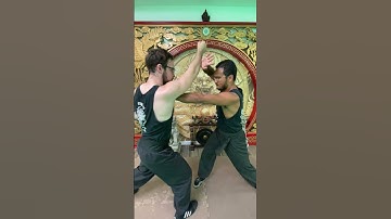 TIGER CLAW SENSITIVITY DRILL #shorts  #ironpalm   #kungfu   #shaolin