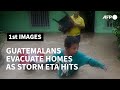 Guatemalans carry belongings, pets, through floods as storm Eta hits | AFP