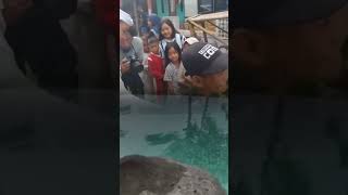 Download Lagu TEU KUDU LOBA DULUR LOBA KEUN MAH DUIT KATA KDM JUGA #dedimulyadi #kdm #foryou #gubernurjabar MP3