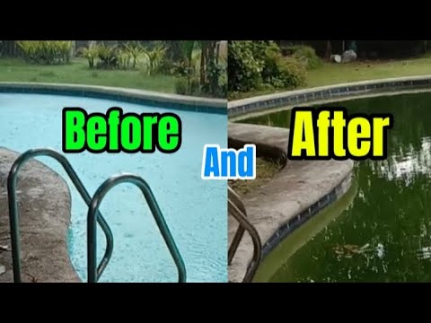 Before And After Ng Baha. #beforeandafter #baha #swimmingpool @ZephVlogz