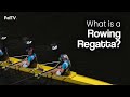 What is a Rowing Regatta?