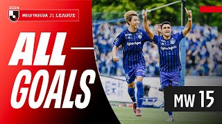 Brilliant Hat-Trick! | 2024 J1 League Goals Show | MW 15