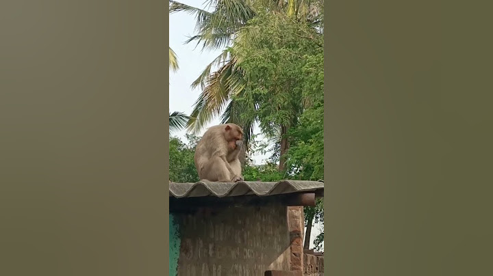Namaku erukura prachanaya solrathe periya prachanaya eruku 🤔🤔🤔