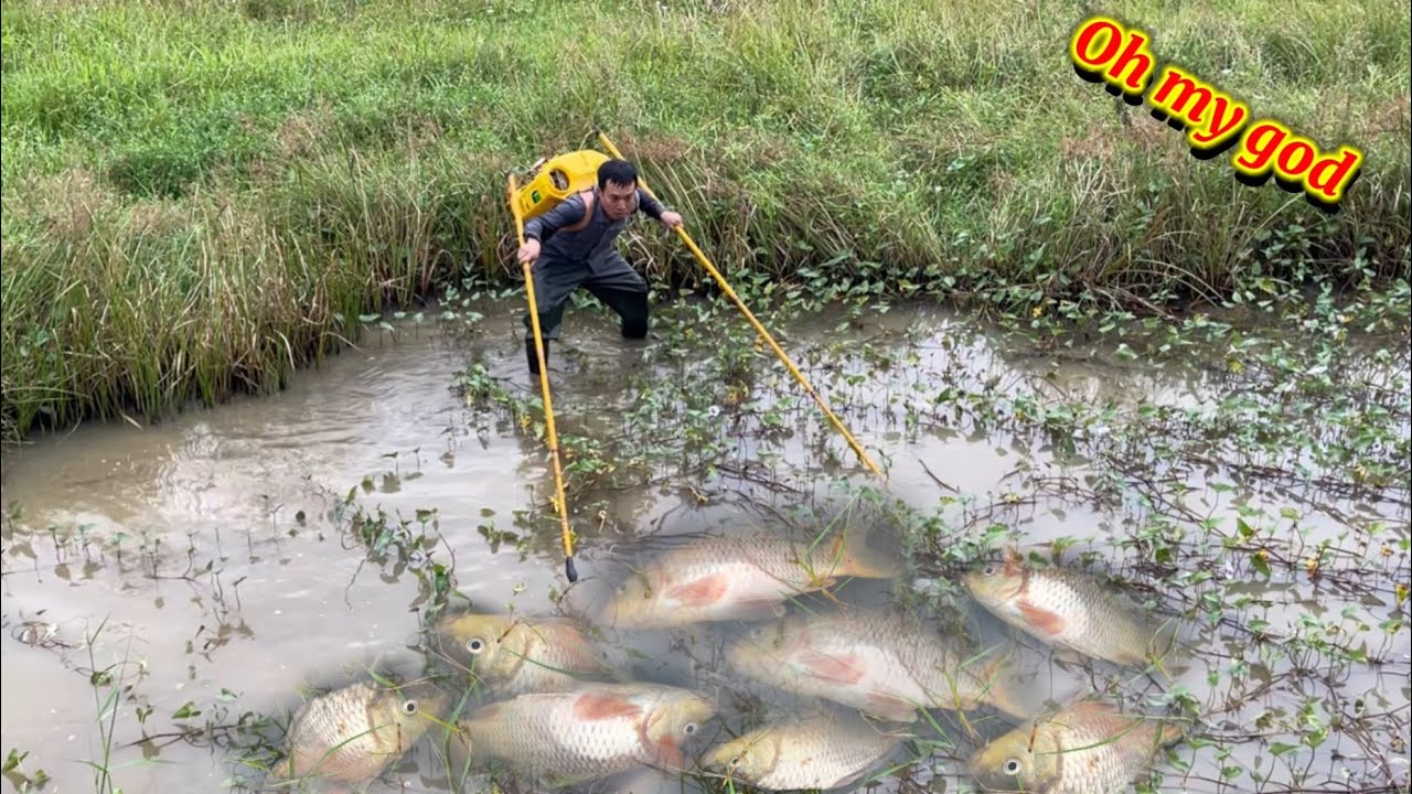 Electric fishing, a unique fishing technique, only found in Vietnam