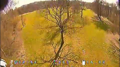 Insane In The Brain - RE1 (DVR footage)