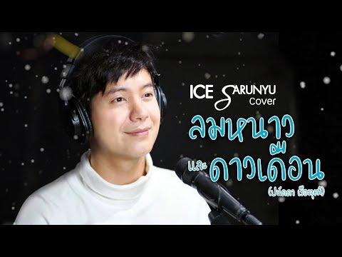 ลมหนาวและดาวเดือน - ปนัดดา เรืองวุฒิ | Cover by ไอซ์ ศรัณยู