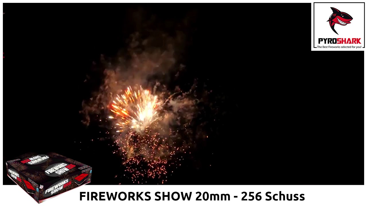 Fireworks Show 256