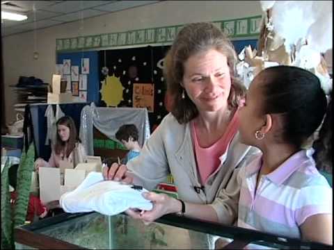 Teacher Language - Introduction