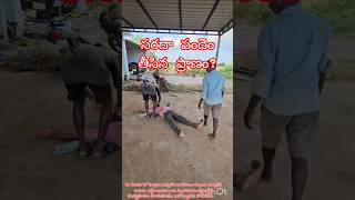 సరదా పందెం తీసిన ప్రాణం #nobetting #awareness #shorts #trending మద్యపానం  ఆరోగ్యానికి హానికరం