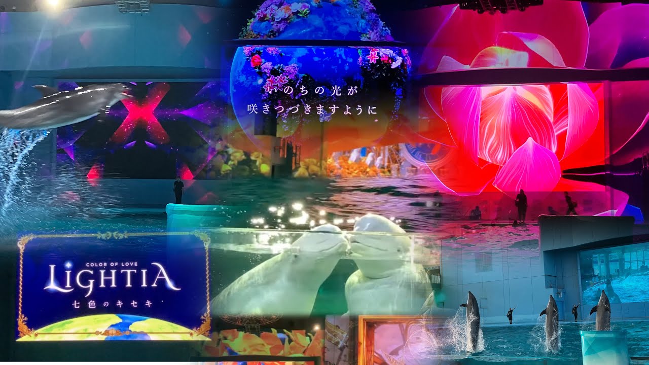 LIGHTIA】八景島シーパラダイス×最新イルカショー×プロジェクション
