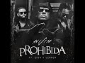 Wisin Zion Lennox Prohibida mp3