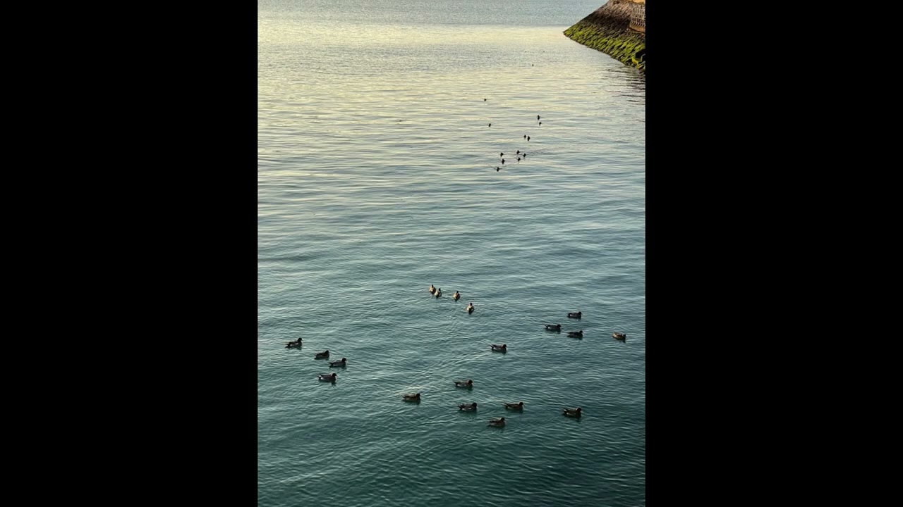 [playist] 이 중에 당신의 취향 하나쯤은 있겠지 팝송노래모음 popsong playist