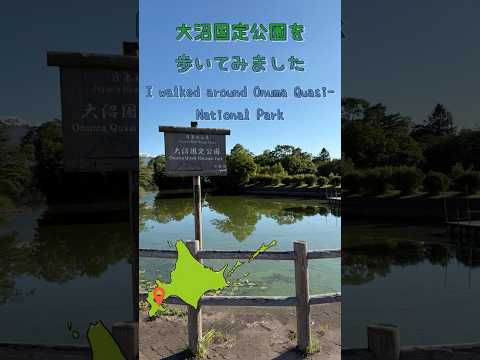 【北海道散歩】 大沼国定公園を歩いてみました（I walked around Onuma Quasi-National Park）#shorts #japan #hokkaido