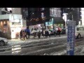 Tokyo sotto la neve