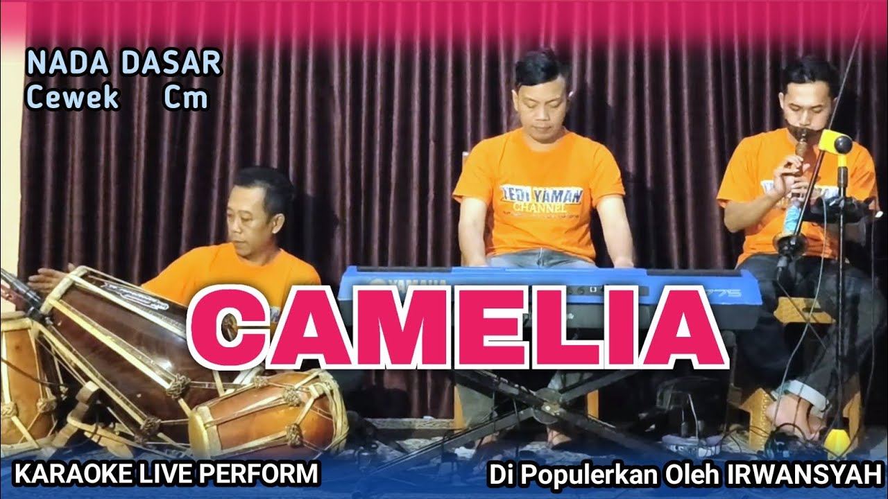 Camelia karaoke - Irwansyah nada cewek Cm versi tanjidor 
