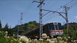 東海道線 311系普通列車米原行き 滋賀岐阜県境付近通過