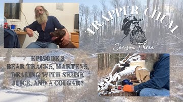 SEASON THREE: Episode 3 Bear Tracks, Martens, Dealing with Skunk Juice, and a Cougar?