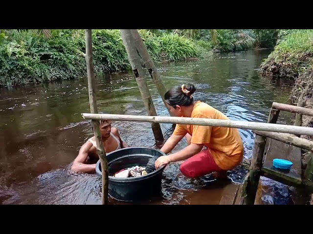 KEGIATAN KITA HARI INI||BERKEBUN LAGI TANAM JAGUNG PUTIH