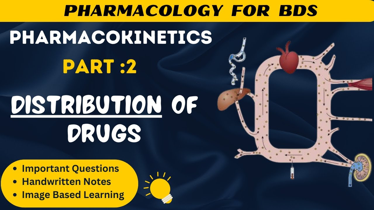 Distribution of drugs| Plasma Protein Binding| Dentistry| Second BDS exam Preparation