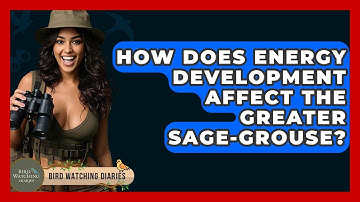 How Does Energy Development Affect The Greater Sage-Grouse? - Bird Watching Diaries
