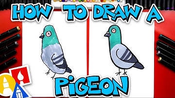 How To Draw A Pigeon