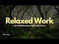 Relaxed Work — Minimalist Clean Lofi Beats for Stress-Free Productivity #BrauLofi