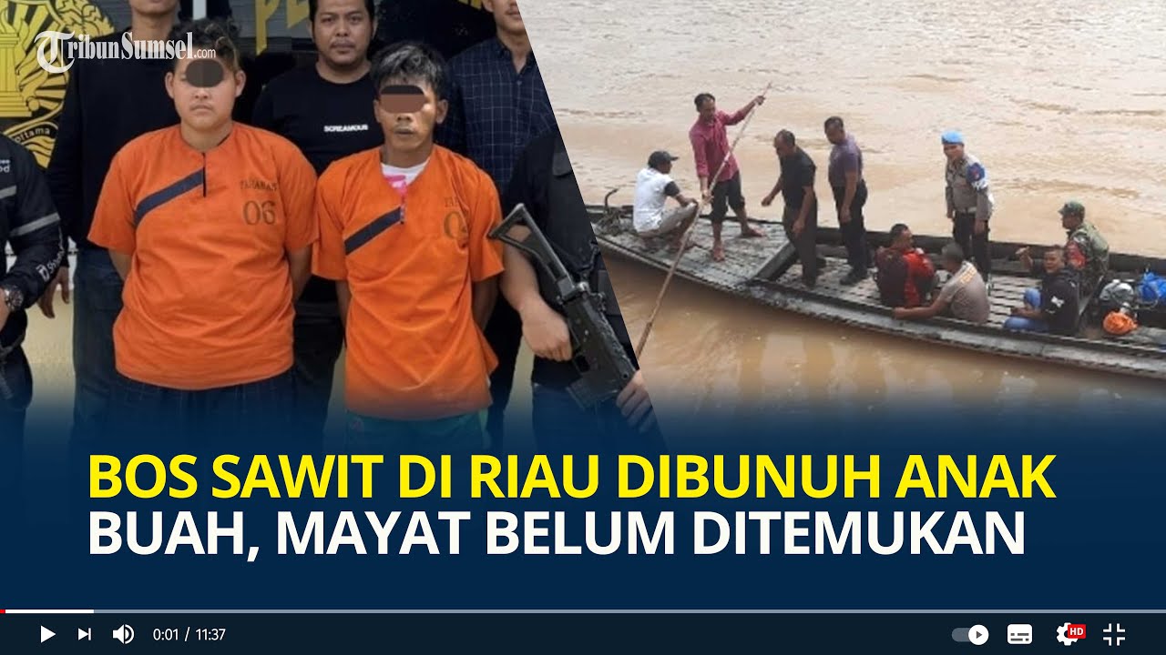 Hilang Misterius, Bos Sawit Ternyata Dibunuh 2 Anak Buah, Mayat Dibuang ke Sungai Belum Ditemukan