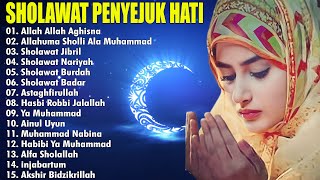 SHOLAWAT PENYEJUK HATI - ALLAH ALLAH AGHISNA - SHOLAWAT JIBRIL - SHOLAWAT BADAR - SHOLAWAT BURDAH screenshot 2