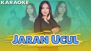 Karaoke ~ JARAN UCUL _ tanpa vokal  |   Karaoke Banyuwangi