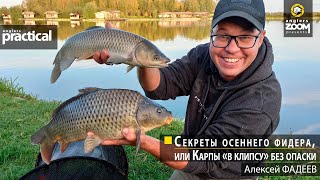 Секреты осеннего фидера, или Карпы «в клипсу» без опаски. Алексей Фадеев. Anglers Practical