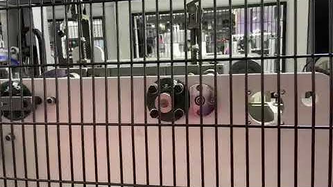 ZK -760  Full Automatic Box Folding machine --ZHONGKE