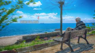 Unutmak Mıduygusalfon Müzik - Mehmet Faal