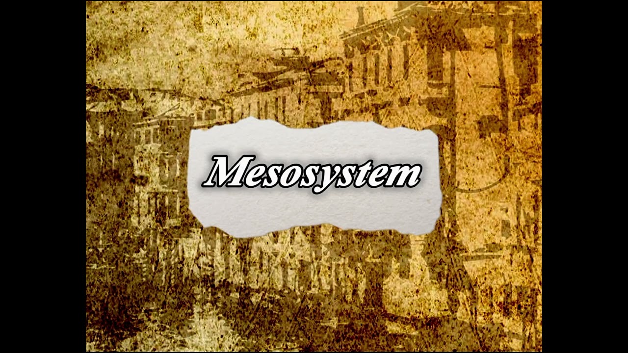 Bioecological Theory (Urie Brofenbrenner)