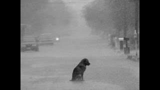 Pat Metheny - Don't Forget  1996.wmv