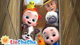 Rain Rain Go Away | Farm Animal Series | EP67 | LiaChaCha Kids Songs & Nursery Rhymes