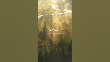 بسم الله الرحمن الرحيم.. سورة الحجر الآية(19).