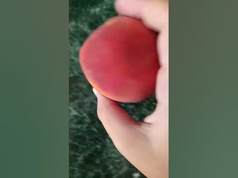 персик я персик персис персик - YouTube