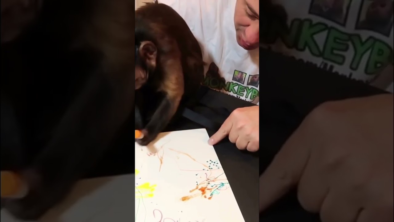 Monkey marker art 