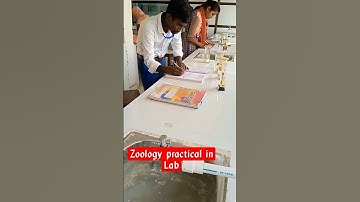 Zoology Practical in Lab