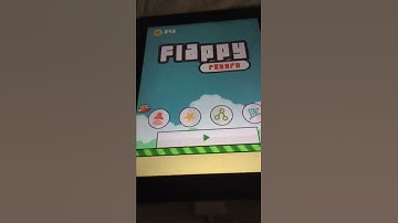 The og flappy bird