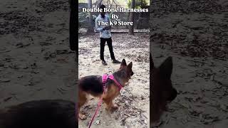 Double Bone Harness by K9 Store 🐶 Best Control & Comfort #thek9store