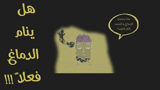 ماذا يفعل الدماغ أثناء النوم؟؟؟(what happens to your brain when you sleep)