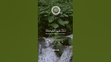 #تلاوات_مطرف_المطرف #لااله_الا_الله_محمد_رسول_الله #صلوا_على_النبي #تلاوات_خاشعة #السعودية #اكسبلور