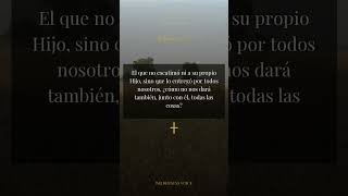 Confiando en Dios | Provision de Dios | Romans 8:32 | Wilderness Voice