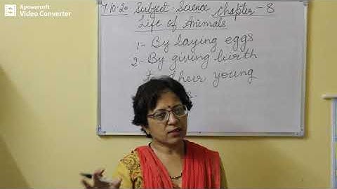 Science Class 4 Chapter 8 Part 1