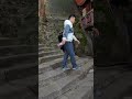 Hidden Gem atop countless steps, Laojundong Taoist Temple.