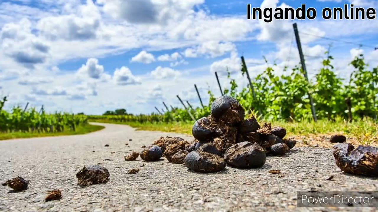 Ubusobanuro bwo Kurota amazirantoki YouTube